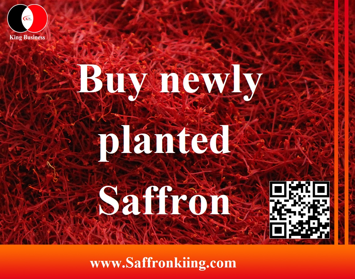 Kaufe neu gepflanzten Safran