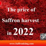 Der Preis der Safranernte im Jahr 2022